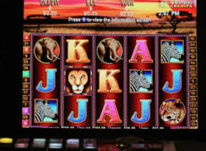 kiayun手机版登录正式版